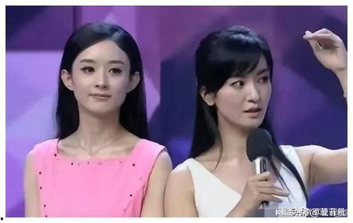 娱乐圈吃瓜爆料甜文小说,瓜田里的甜蜜邂逅